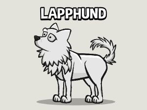 Animated finnish lapphund