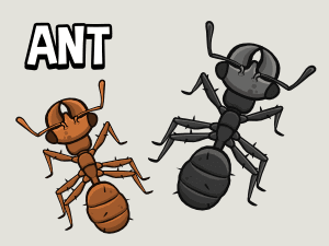 Animated top down ant game asset