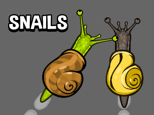 Animated top down snail game asset