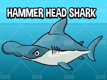 Hammerhead shark