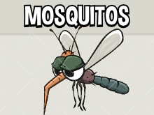 Mosquitos