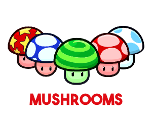 Mushroom maker pack