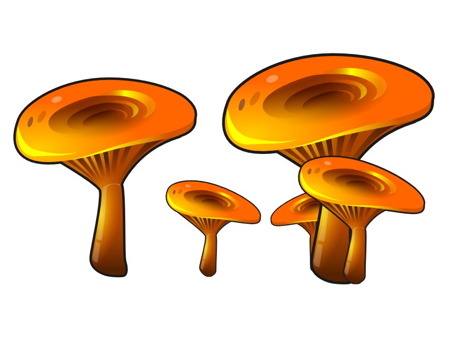 Orange mushroom