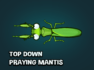 Top down animated praying mantis game sprite