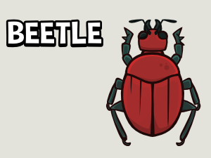 Top down beetle game asset