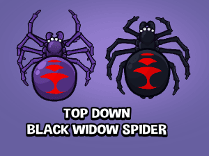 Top down black widow game sprite