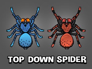 Top down spider