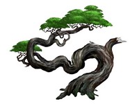 Twisted bonsai