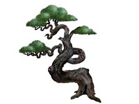 Twisted bonsai 2