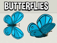 animated butterflies