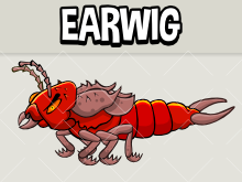 animated earwig 