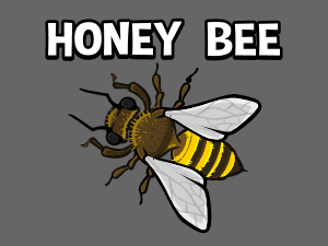 animated honey bee top down game sprite