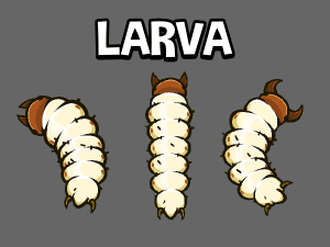 animated insect lava game sprite