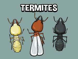 animated termite game asset