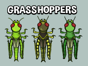 animated top down grasshopper insect game sprite