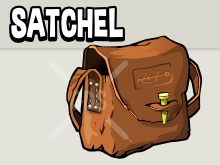 satchel