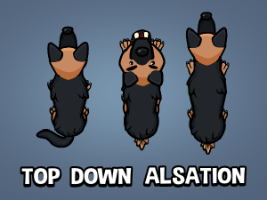 top down alsation style dog