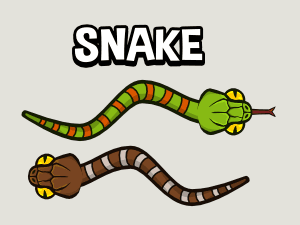 top down animated snake game asset