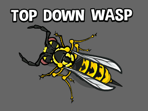 top down wasp game asset