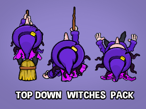 top down witch game sprite